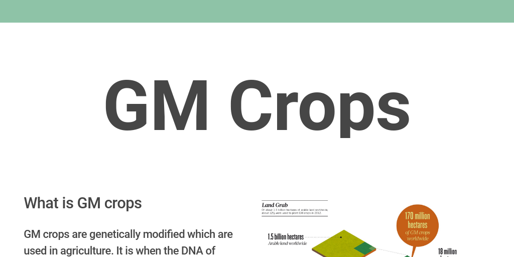 What Is Gm >> Gm Crops By Niels Jantzen Infogram What Is Gm >> Gm Crops By Niels Jantzen Infogram