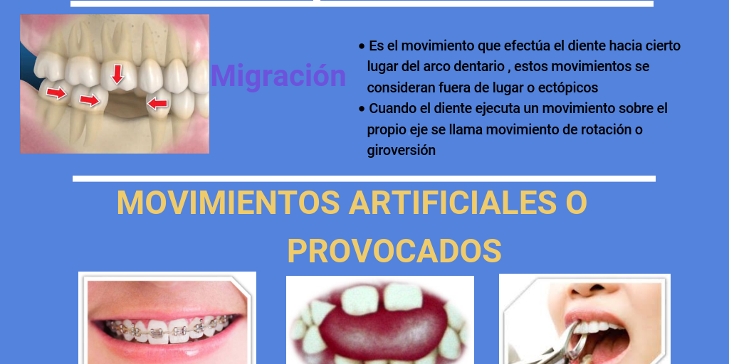 Movimientos dentarios y cronología de la erupción Infographic Infogram Movimientos dentarios y cronología de la erupción Infographic Infogram