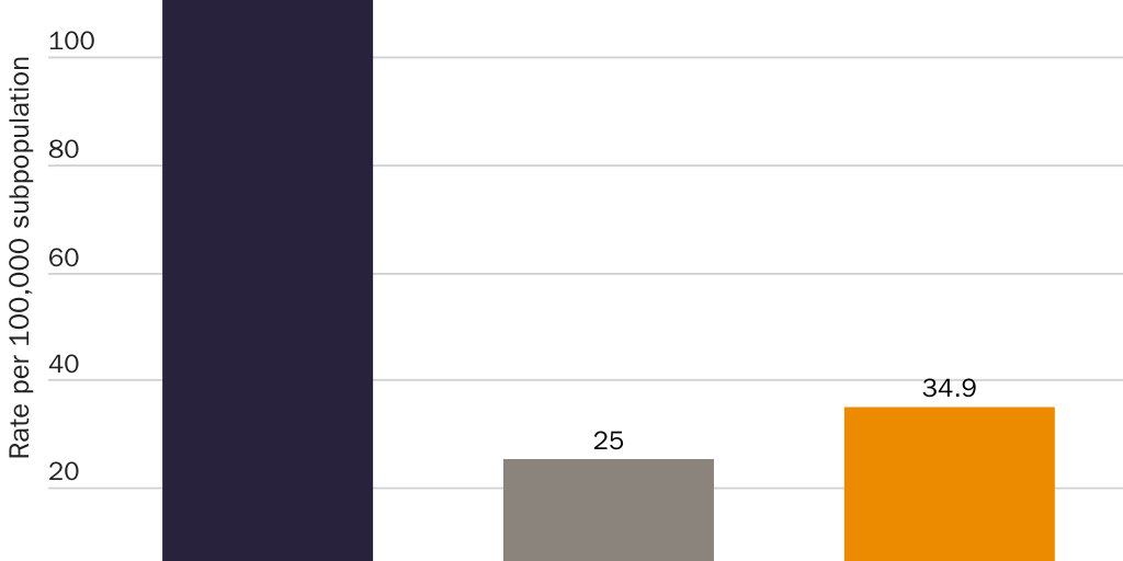 Figure 5: Larceny conviction rates by immigration status in Texas, 2019