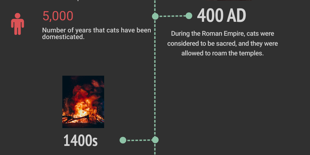 DARK TIMELINES EXPLAINED visual data 3