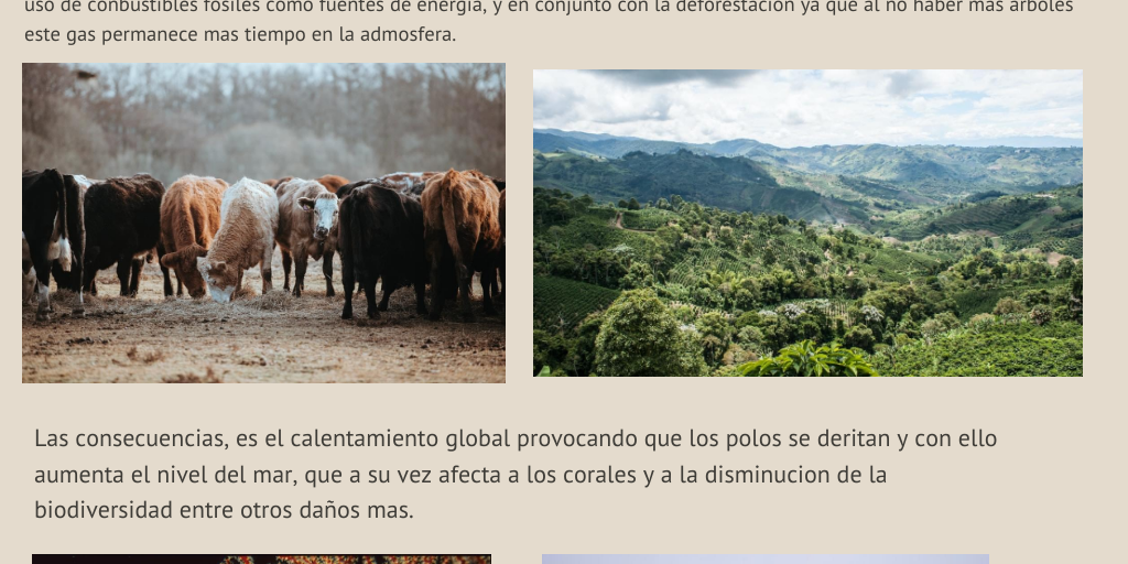 Modulo 20: Optimizacion en sistemas naturales y sociales. - Infogram