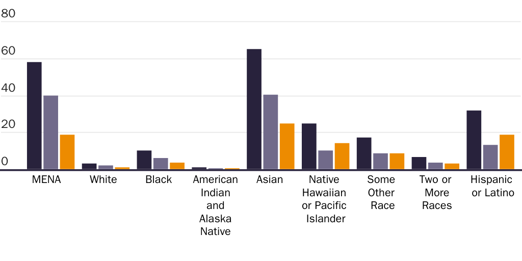 20230925_Forrester_There were 3.8 million Middle Eastern or North Africans in the United States in 2021_Figure 2