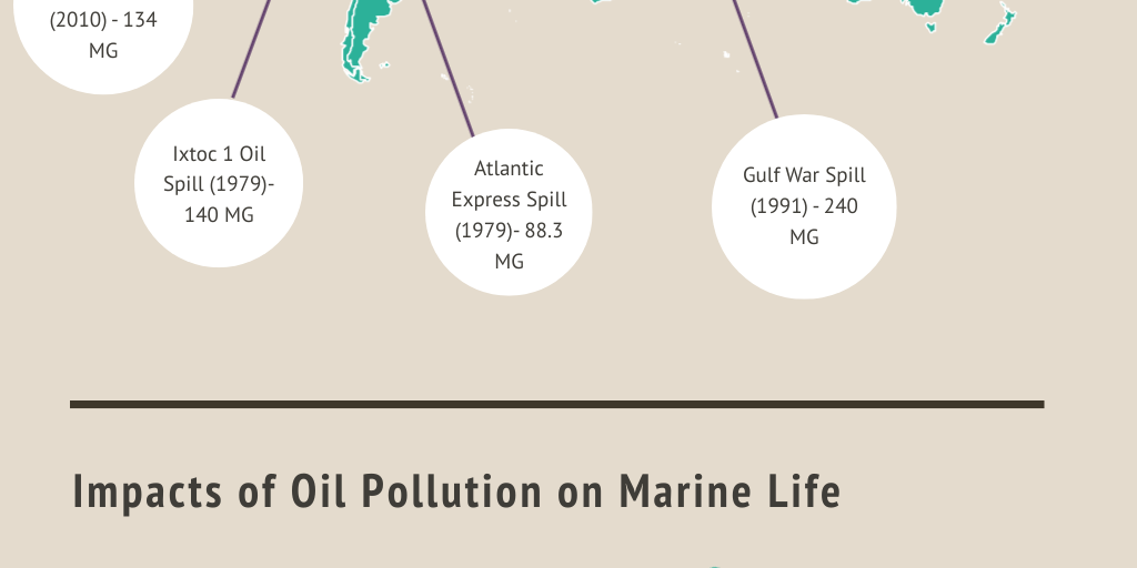 Oil Pollution Infographic by Michael Cusack - Infogram