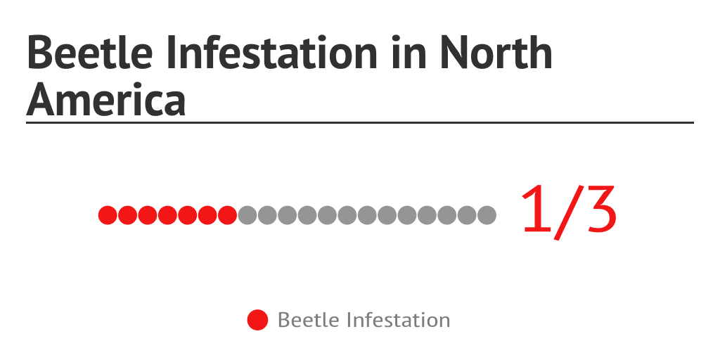 Beetle Infestation in North America - Infogram
