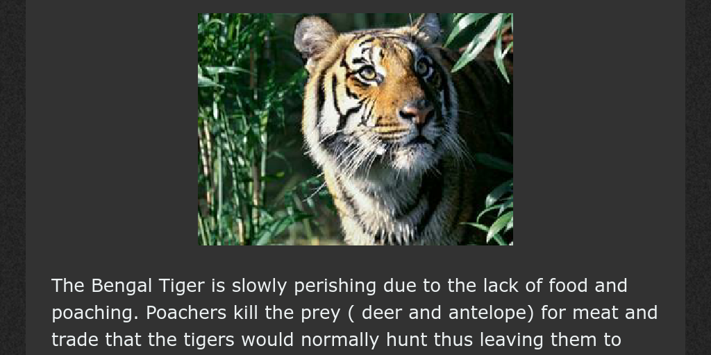 How Bengal Tigers affect the ecosystem - Infogram