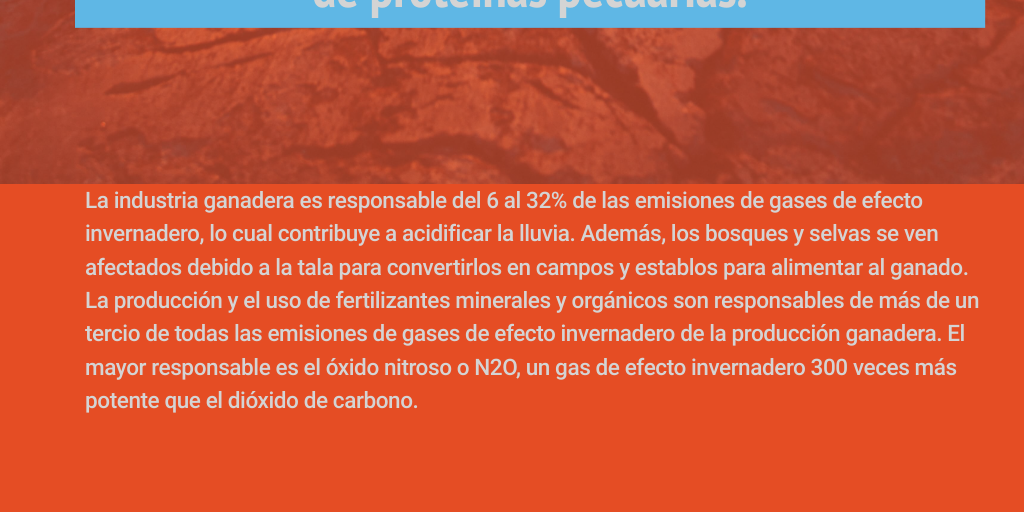 Mis acciones para cuidar el medio ambiente by Sam RiAm - Infogram