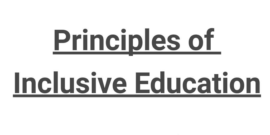 nicole-nundlal-principles-of-inclusive-education-by-nicole-nundlal