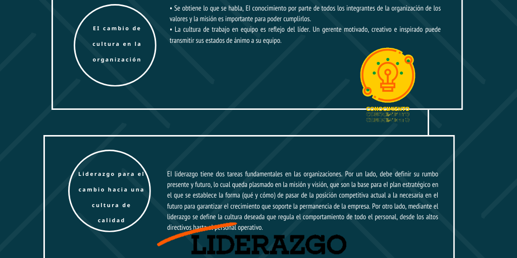 DESARROLLORO DE UNA CULTURA DE CALIDAD EN LA ORGANIZACION by ROBERTO ...