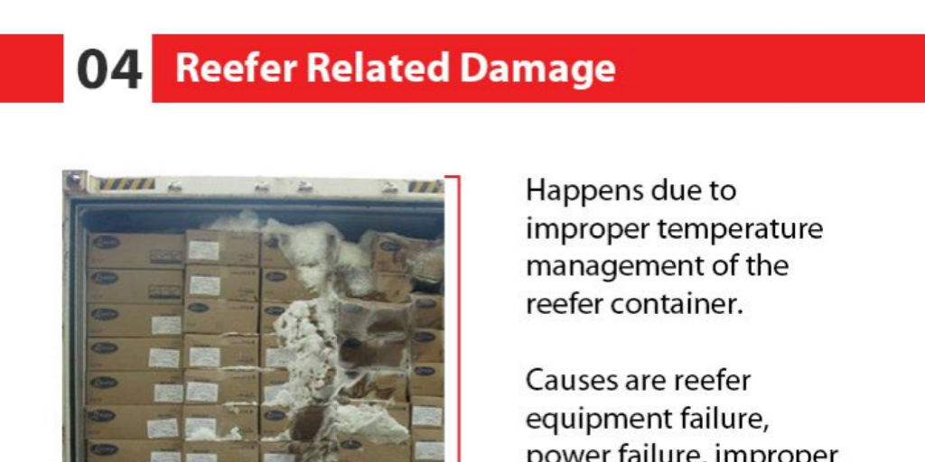 Types of Cargo Damage in Container Shipping by Pronkmulti Service ...
