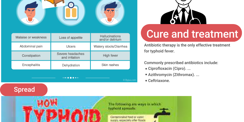 Infographic on Typhoid Fever by Taksheel Dembla - Infogram
