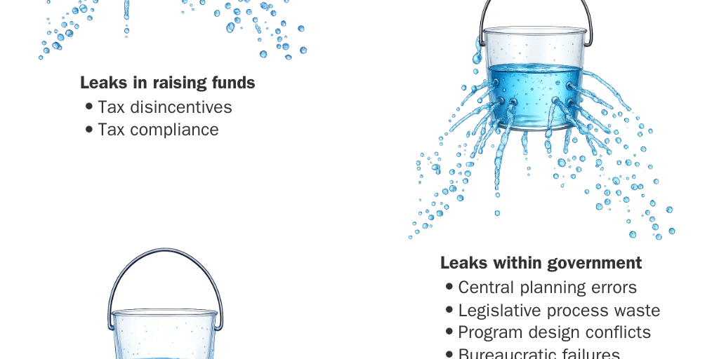 Figure 1 [web] - Leaks in government spending programs