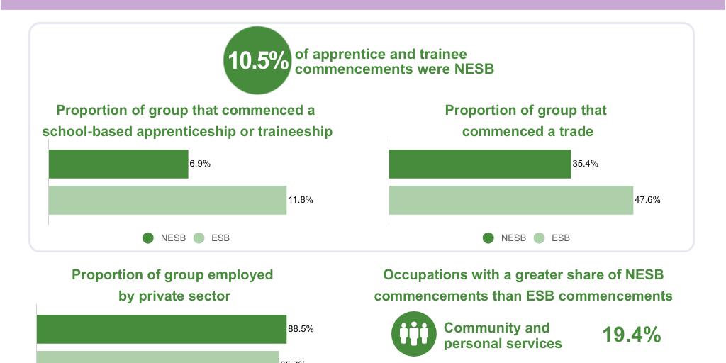 Equity in VET - NESB V2 by NCVER - Infogram