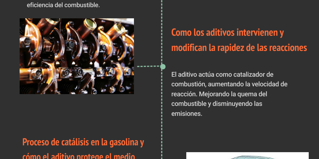 Infografía piña by Piña Piña - Infogram