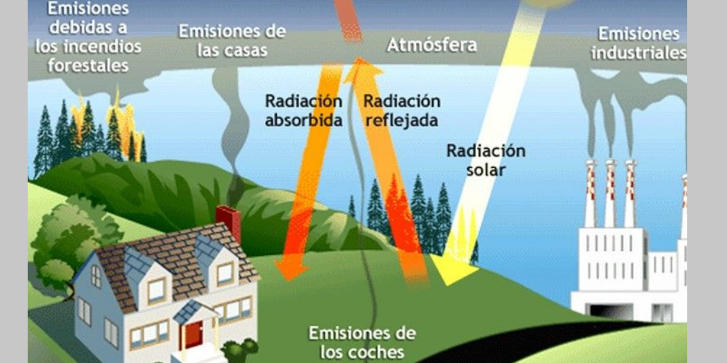 Actividad Integradora 2 Mis acciones para cuidar el medio ambiente