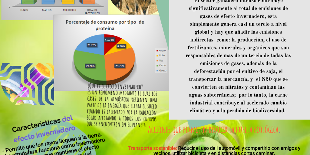 Actividad Integradora 2. Mis acciones para cuidar el medio ambiente