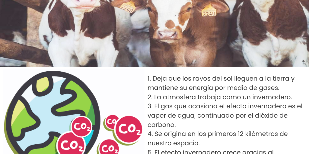 Actividad Integradora 2 modulo 20 - Infogram