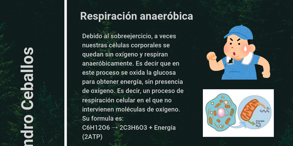 Reacciones quimicas en el cuerpo humano Infogram
