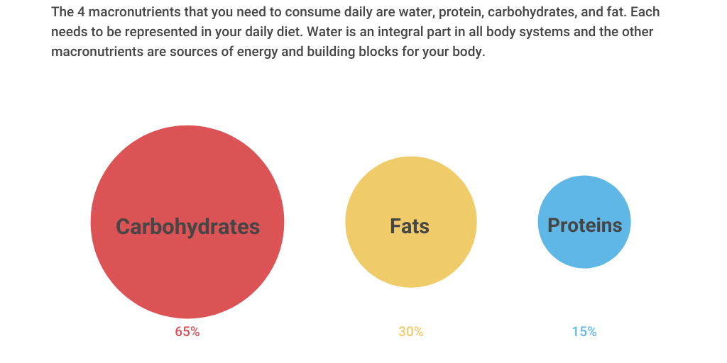 Macronutrient Infographic Infogram