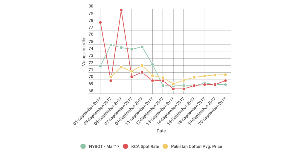 Local Cotton Price Trend by sarosh aslam Infogram