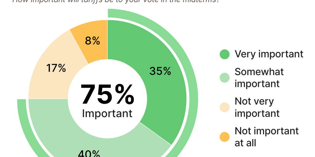 Important to Midterms Vote Pie