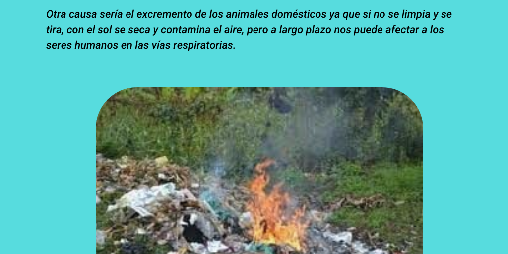 Actividad Integradora 4. Ética y responsabilidad social. - Infogram
