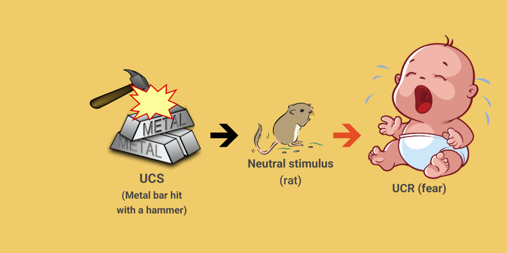 The Little Albert Experiment by Div vas - Infogram
