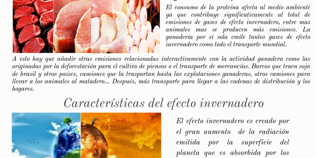 Actividad Integradora 2. Mis acciones para cuidar el medio ambiente