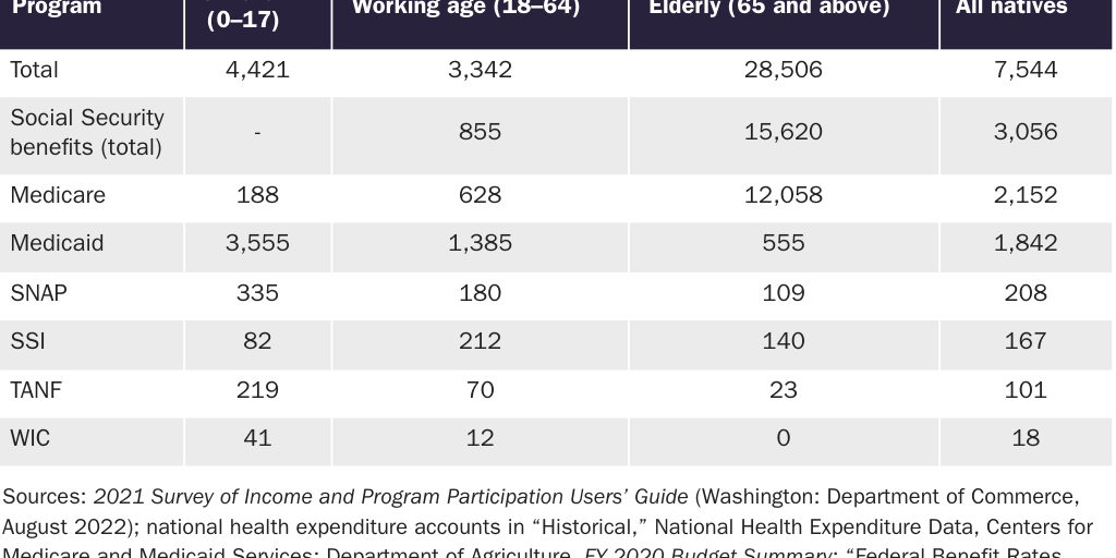 Table 2: Average per capita native-born American welfare cost by age, 2020