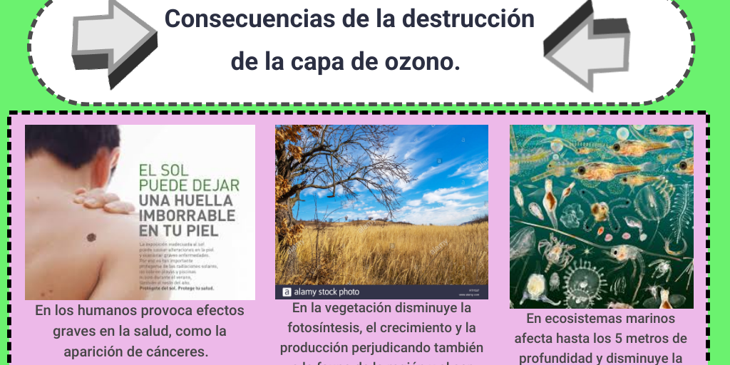 Convenio Para La Protección De La Capa De Ozono infogram.com