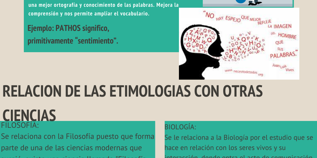 Infografía "La importancia de las etimologias" - Infogram
