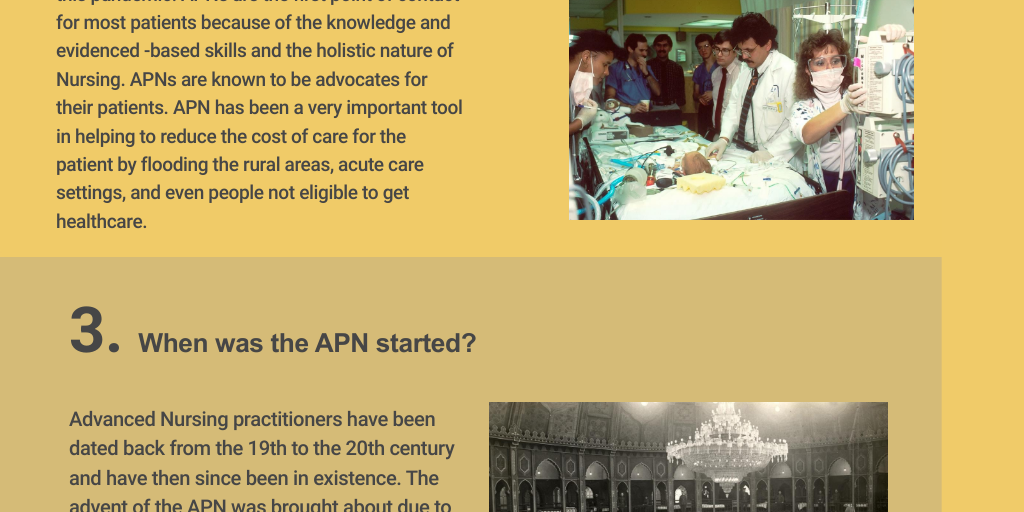 The What, Why, When and How of the APN by gloria monu - Infogram