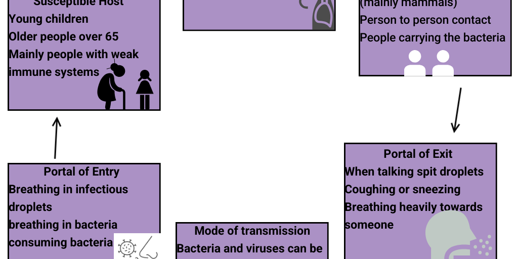 Emily Reed Period 3 Pneumonia chain of infection by EMILY REED - Infogram