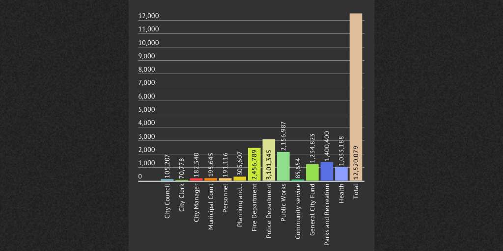 City Budget By Veerbadani Infogram