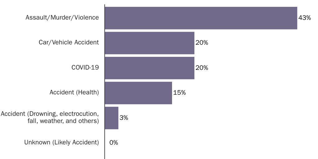 Figure 2: Police Officer Cause of Death through 2023