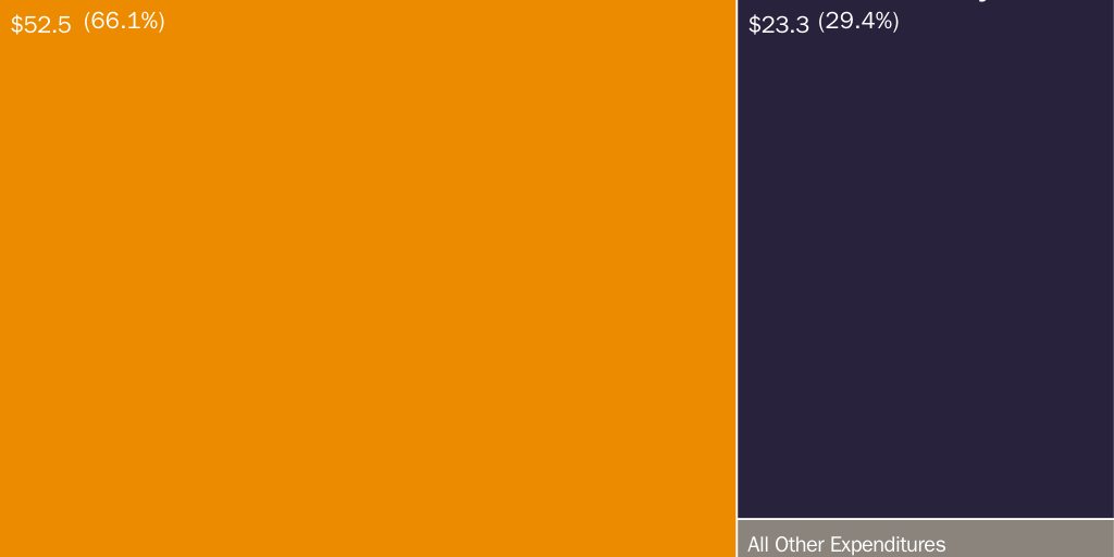 Present Value of 75-Year Projections (Net Expenditures)