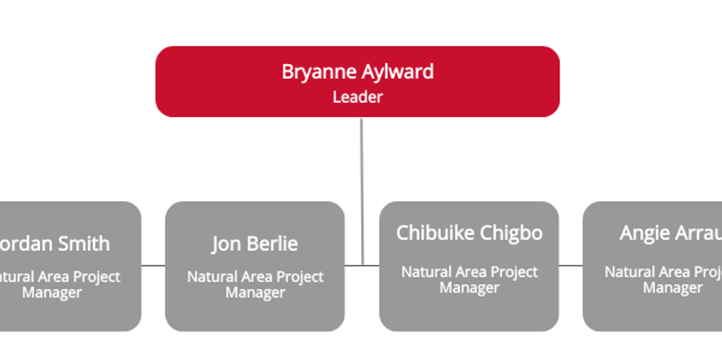 NIRED Org Chart-Mar-2026 - Infogram