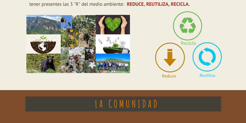 Actividad integradora 6. Mi responsabilidad con el ambiente - Infogram