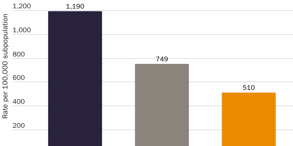Figure 1: Criminal conviction rates by immigration status in Texas, 2019