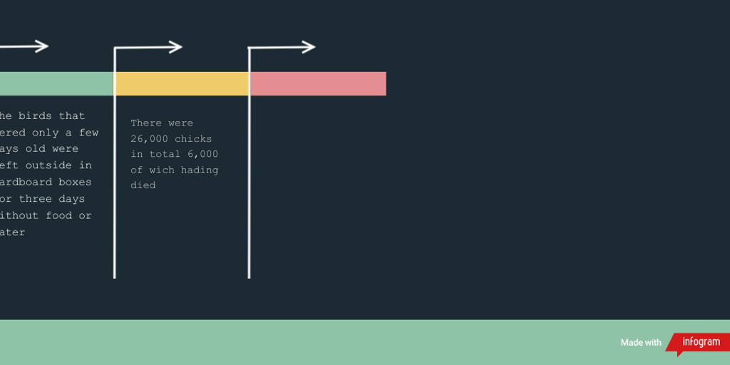 Timeline Dark Infographic by Namu JOON - Infogram
