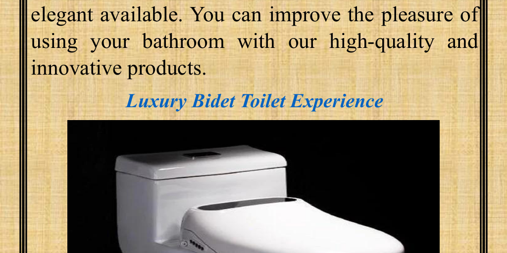 Luxury Bidet Toilet Experience by Horizon Direct