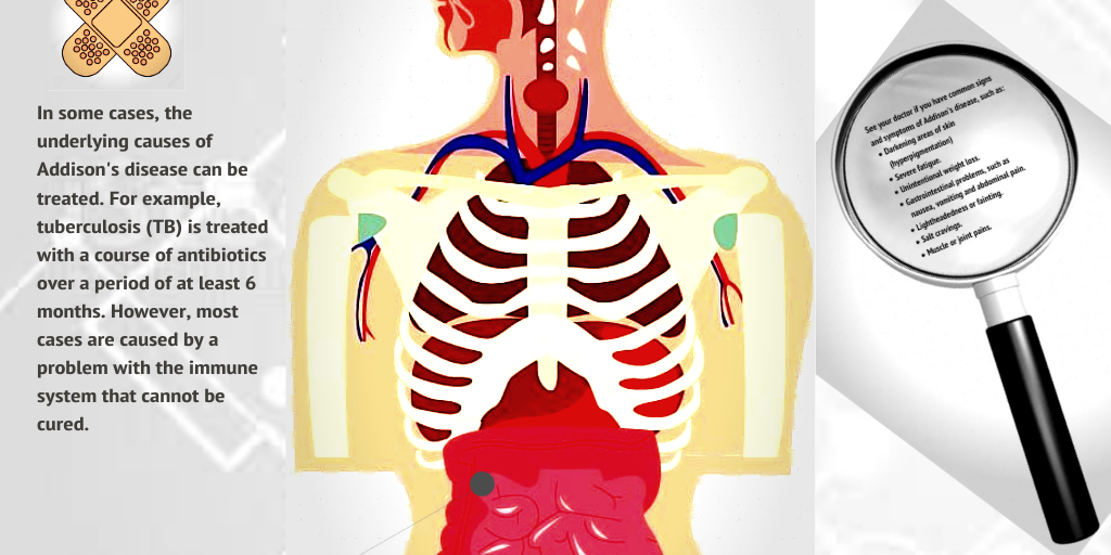 SCIENCE PETA - Infogram