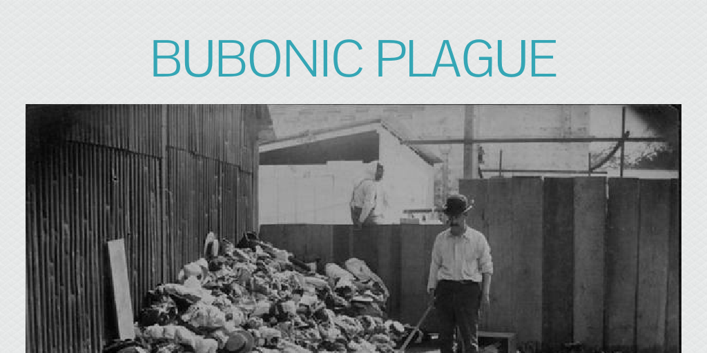 Bubonic Plague Infogram