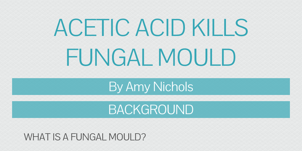 Acetic acid Kills Fungal mould Infogram