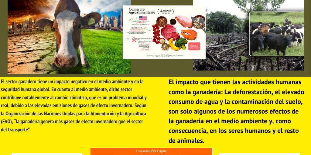 Mis acciones para cuidar el medioambiente Actividad integradora 2