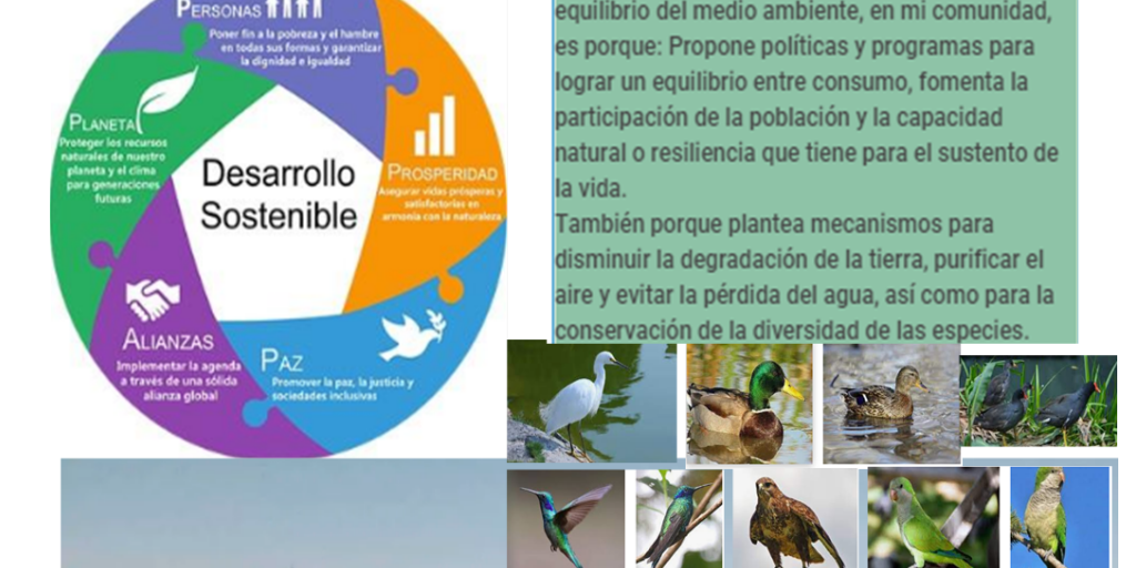Actividad integradora 6. Mi responsabilidad con el medio ambiente