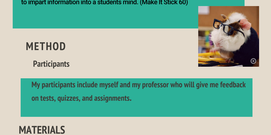 Writing Infographic by KATHERINE BEVER - Infogram