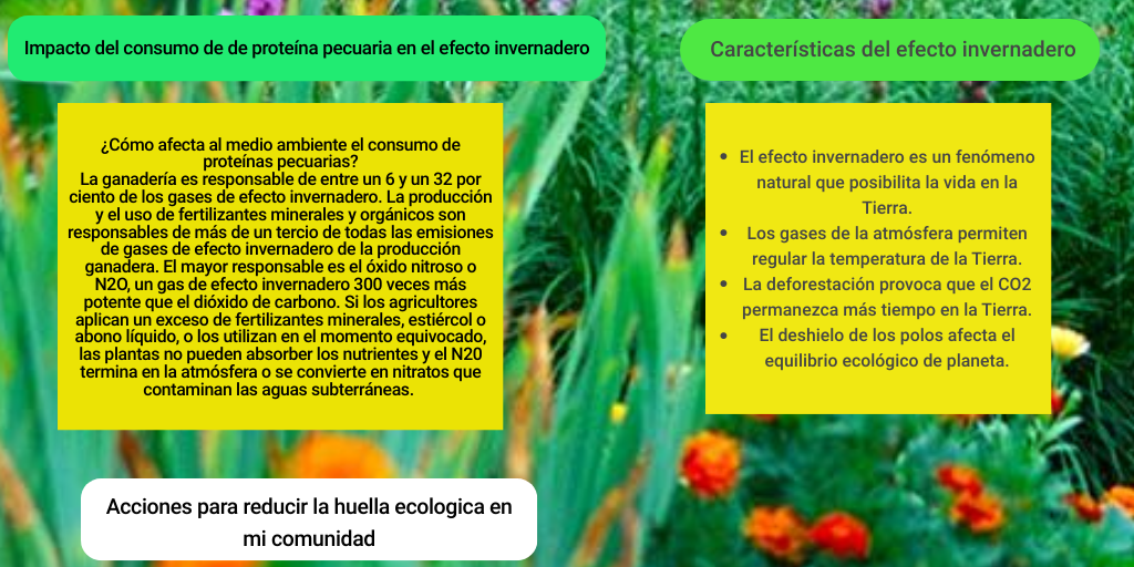 Actividad integradora 2. Mis acciones para cuidar el medioambiente