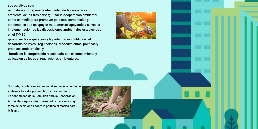 Actividad Integradora 6 Mi Responsabilidad Con El Ambiente
