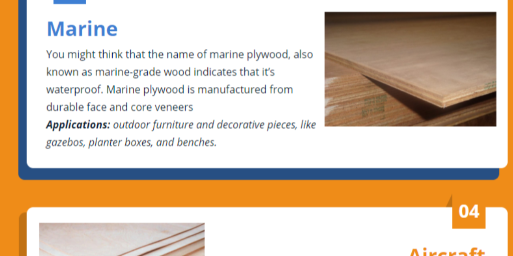 An Ultimate Guide About Types of Plywood by Amisha Lohan Infogram