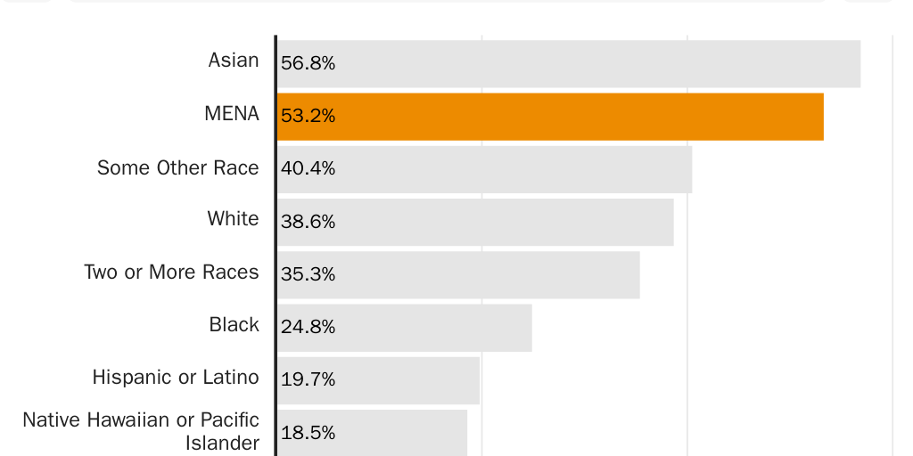 20230925_Forrester_There were 3.8 million Middle Eastern or North Africans in the United States in 2021_Figure 2